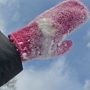 🌱When does the Spring Come?